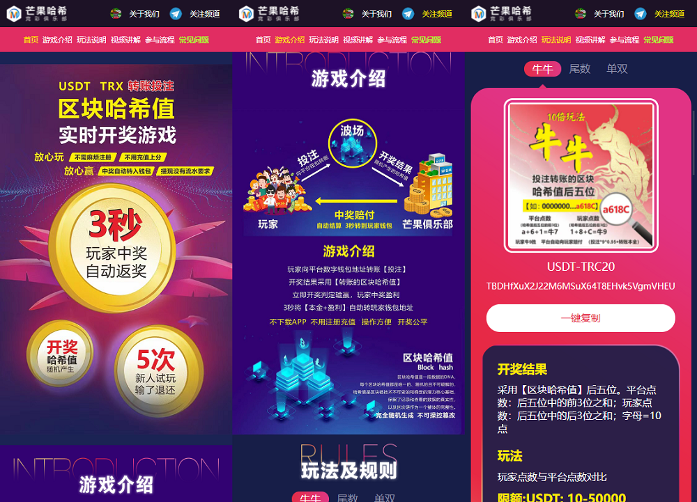 USDT虚拟币哈希值竞猜源码纯合约的返奖系统源码-八妹源码